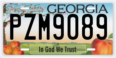 GA license plate PZM9089