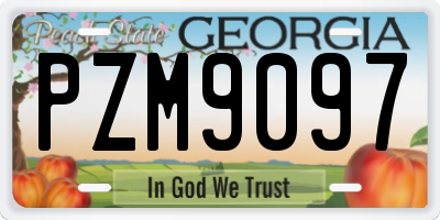 GA license plate PZM9097