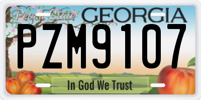 GA license plate PZM9107