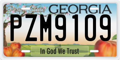GA license plate PZM9109