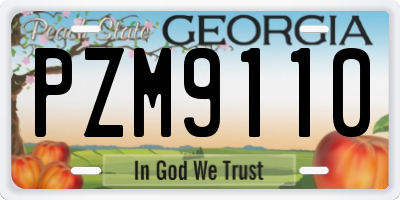 GA license plate PZM9110