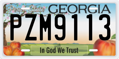 GA license plate PZM9113