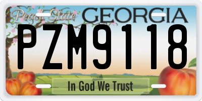 GA license plate PZM9118