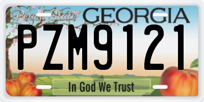 GA license plate PZM9121