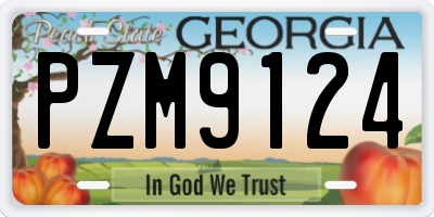 GA license plate PZM9124