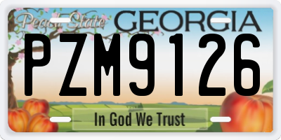 GA license plate PZM9126