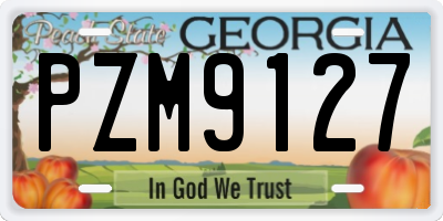 GA license plate PZM9127