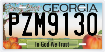 GA license plate PZM9130