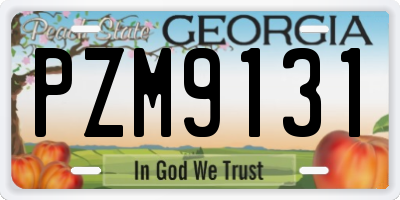 GA license plate PZM9131