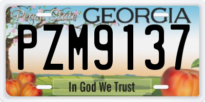 GA license plate PZM9137