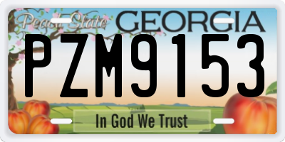 GA license plate PZM9153