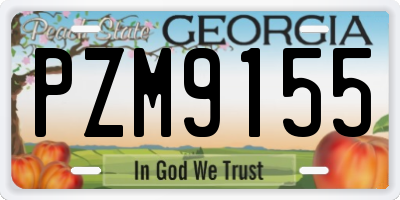 GA license plate PZM9155