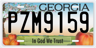GA license plate PZM9159