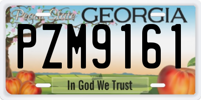 GA license plate PZM9161