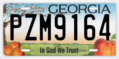 GA license plate PZM9164