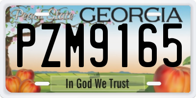GA license plate PZM9165