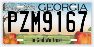 GA license plate PZM9167