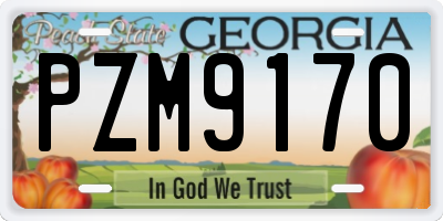 GA license plate PZM9170