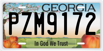 GA license plate PZM9172