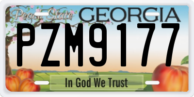 GA license plate PZM9177