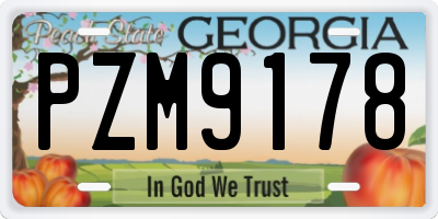 GA license plate PZM9178