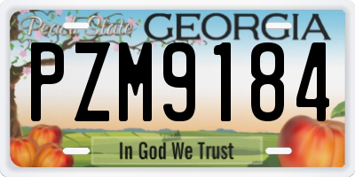 GA license plate PZM9184