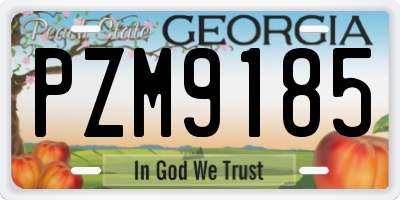 GA license plate PZM9185