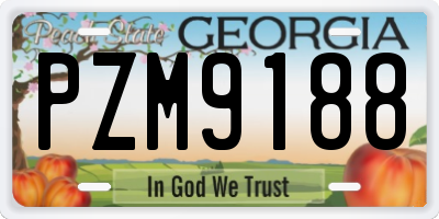 GA license plate PZM9188