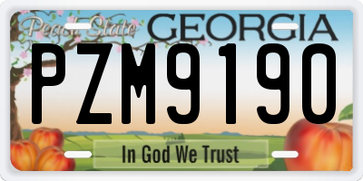 GA license plate PZM9190