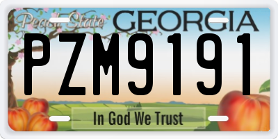 GA license plate PZM9191