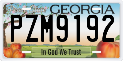 GA license plate PZM9192