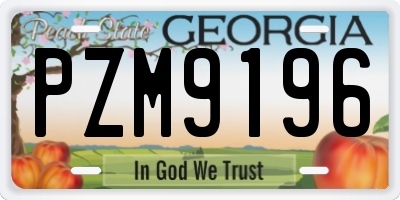 GA license plate PZM9196