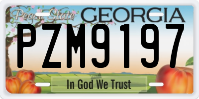 GA license plate PZM9197
