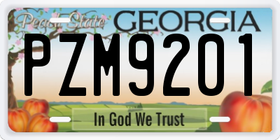 GA license plate PZM9201