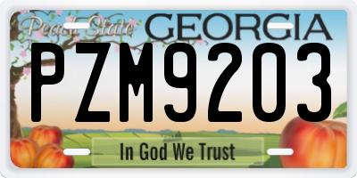 GA license plate PZM9203