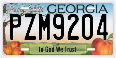 GA license plate PZM9204