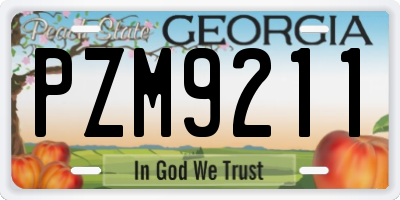 GA license plate PZM9211