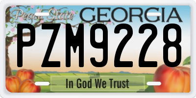 GA license plate PZM9228