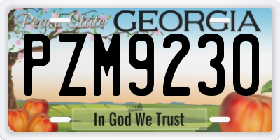 GA license plate PZM9230