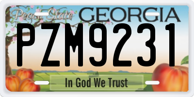 GA license plate PZM9231