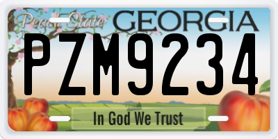 GA license plate PZM9234