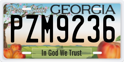 GA license plate PZM9236