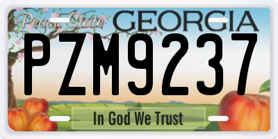 GA license plate PZM9237