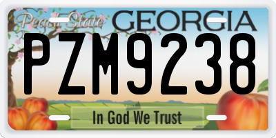 GA license plate PZM9238