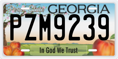 GA license plate PZM9239
