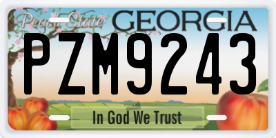 GA license plate PZM9243