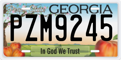 GA license plate PZM9245