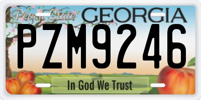 GA license plate PZM9246