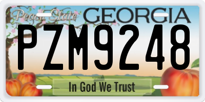 GA license plate PZM9248