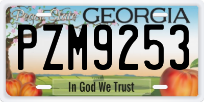 GA license plate PZM9253